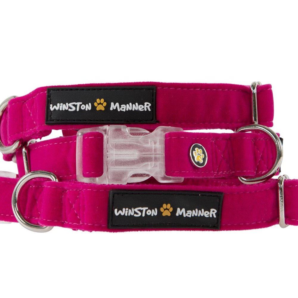 Winston Manner Designer Dog Collar in Miss Pinky